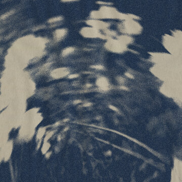 Vintage Blue Cyanotype Botanical Background. Grainy risograph print texture with blurred flower for aesthetic poster and collage design