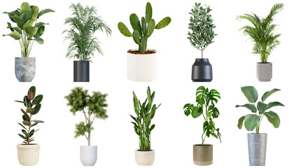 Collection of ten potted houseplants with various leaves and pots, isolated on a transparent...