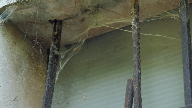 Old window with metal bars covered in cobwebs at an abandoned masia farmhouse. High quality 4k footage