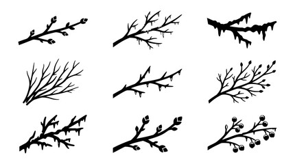 Obraz premium Collection of various bare tree branches.