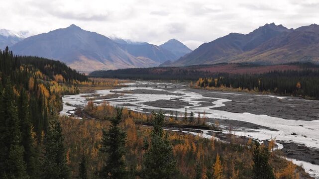 View of the braided river flowing through the autumn landscape of Denali National Park and Preserve in Alaska, United States.