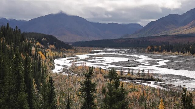 View of a braided river flowing through the valley of Denali National Park and Preserve with evergreen forests and distant mountains in Alaska, United States.