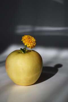 A yellow apple with a small yellow flower on top, casting a shadow on a light surface. The scene is simple and minimalistic, emphasizing the fruit and flower.