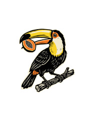 Obraz premium Toco Toucan Bird Illustration Holding Papaya Fruit Sliced in Beak Perched on Branch Linocut Style Tropical Wildlife Nature Graphic for Commercial Print and Sticker Design