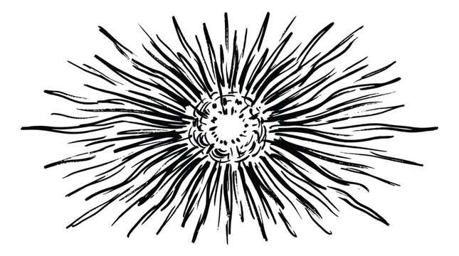 Hand drawn radial burst sunburst sketch icon with sunburst radiating creative