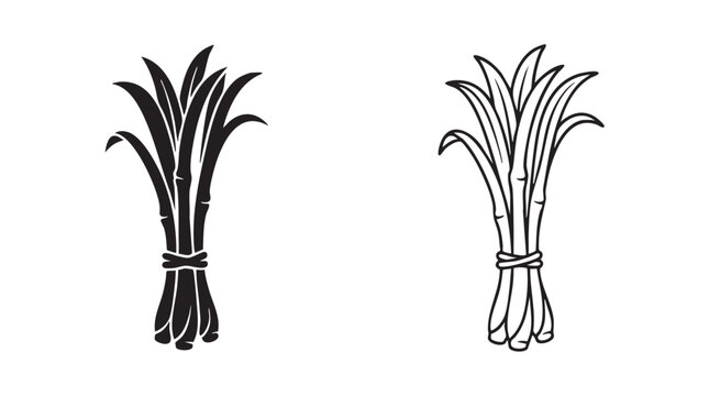 lemongrass stalk bundle vector icon pair black silhouette black silhouette with line art vector pair icon