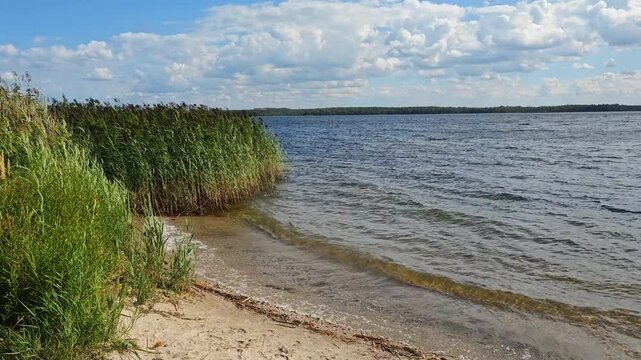 Senftenberger See im Sommer am Strand unter blauem Himmel