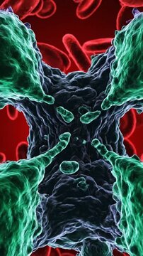 Microscopic view of cell division in human blood plasma stream