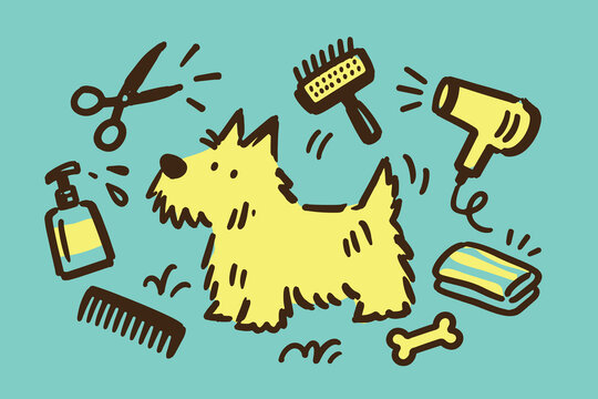 Dog Grooming Tools Hand Drawn Doodle Illustration