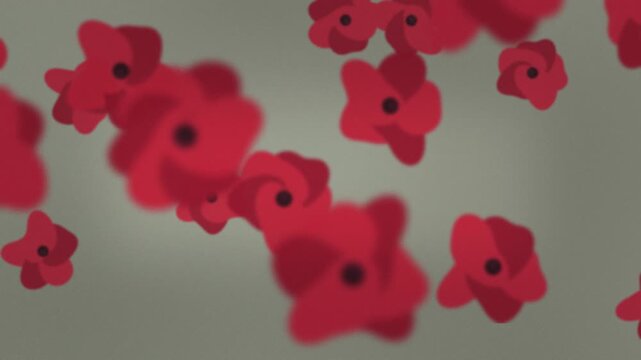 Floating red flowers on grey background. 2d animation