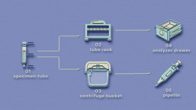 A specimen moves through tube collection, rack staging, centrifuge separation and transfer into an analyzer for testing. Flat 3D style with smooth matte surfaces; objects numbered and labelled in