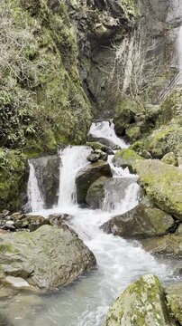 Vertical view of a small mountain creek in a green rocky canyon.
