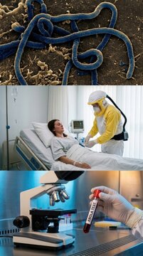Viral contagion surveillance: ebola outbreak, medical care, patient diagnose, lab examine, health hazard, pandemic threat, virus particle, blood sample, PPE worker, disease control.