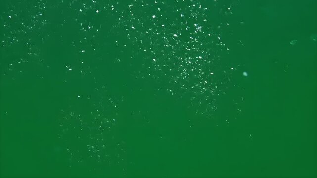 Bubbles of air rising in deep green water background