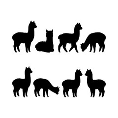 Obraz premium Standing sitting alpacas silhouette vector illustration, Alpacas poses silhouette set design