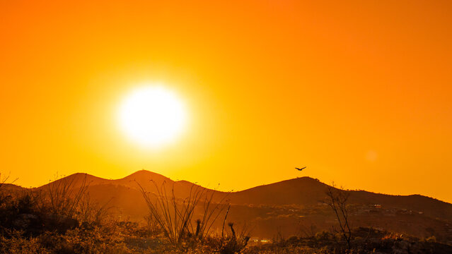 Hot sunset in the Sonoran Desert