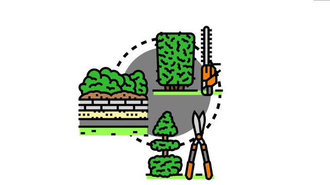 Vector drawing the concept of low maintenance hedgerows, featuring various types of shrubs, a hedge trimmer, and garden shears, emphasizing efficient landscape management and bush care