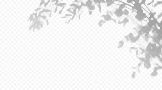 Easy to edit layered vector shadow. Tree branches and leaves. Adjust tonal layer opacity to control shadow intensity and perceived softness.