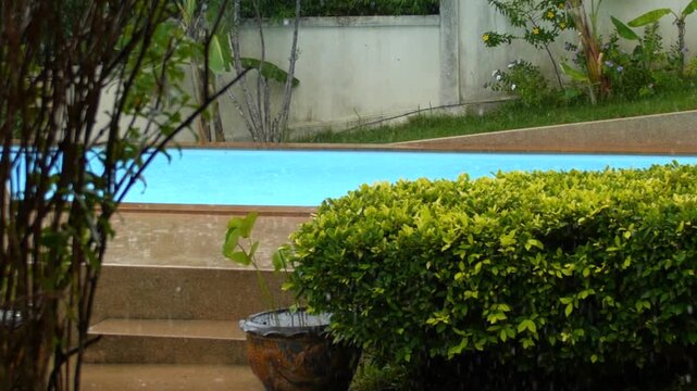 Rain streaks past empty swimming pool in quiet garden setting, with turquoise water, clipped hedge, potted plant, and damp steps. Calm resort area remains still under rainy weather and overcast light.