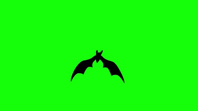 Cartoon bat flapping its wings and flying against a green screen, ideal for Halloween, horror, spooky scenes and haunted themes.