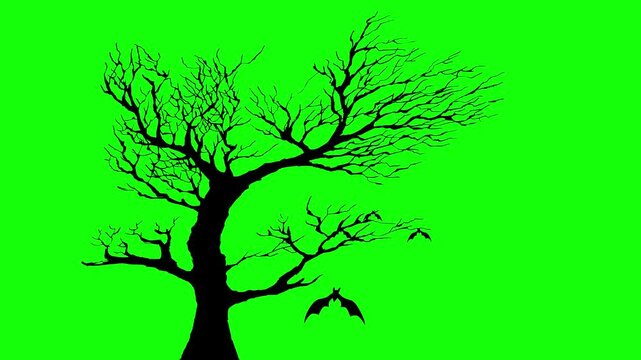Spooky dead tree with flying bats on green screen, creating a creepy Halloween, haunted forest and horror atmosphere.