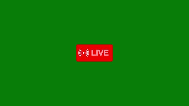 Animation of live button with green background. Live streaming icon animation, live streaming and broadcasting with alpha channel.Live stream icon with animated signal sign.