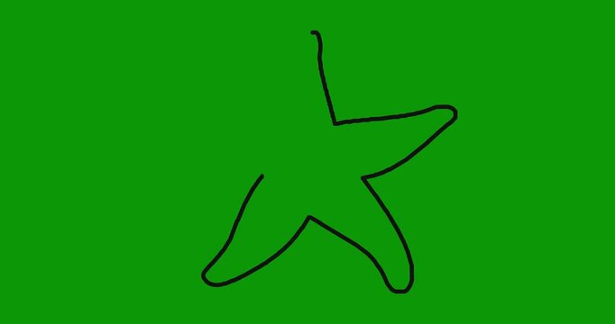 Minimalist hand drawn starfish outline drawing and erasing animation on chroma key green background.