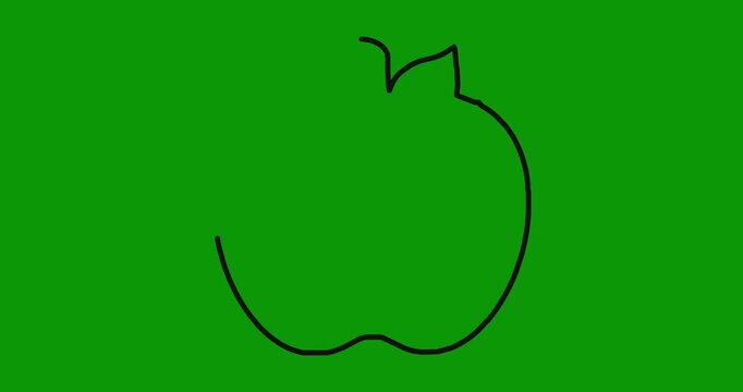 Minimalist hand drawn line art animation of apple appearing on chroma key green background clip.