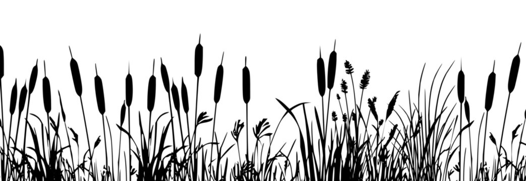 Black cattail reed silhouettes with tall marsh grass plants, isolated vector set.