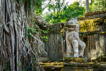 Obraz premium Preah Khan temple in the jungle in Angkor, Siem Reap, Cambodia