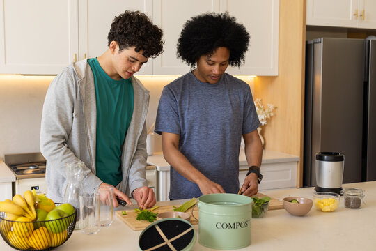 Two African American men chopping produce at kitchen island with compost bin, cutting boards