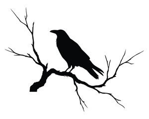 Obraz premium Silhouette of a raven perched on a bare tree branch