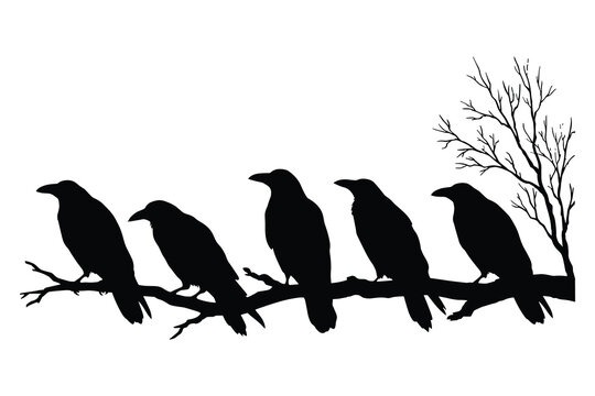 Silhouette of five crows perched on a tree branch