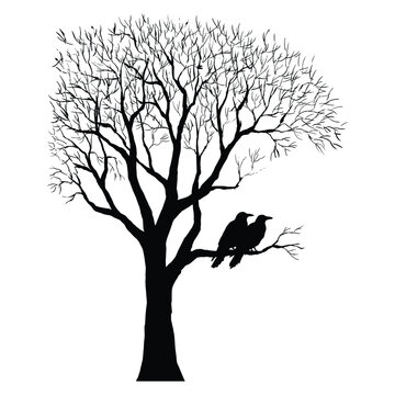 Silhouette of two crows perched on a bare tree