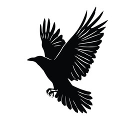 Obraz premium Silhouette of a flying raven isolated on white background