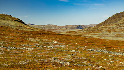 Enontekio, Finland - 28.08.2026: Vast arctic tundra landscape with low-lying shrubs and rocky terrain under a clear blue sky © Andrei