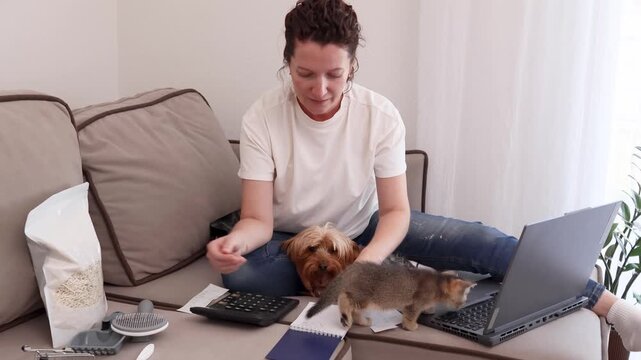 Woman records pet expenses while a curious kitten interferes with the laptop