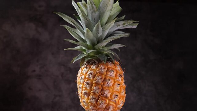 Rotating shot of a whole fresh pineapple with green leaves on a dark studio background