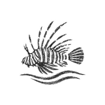 Sketch lionfish logo design