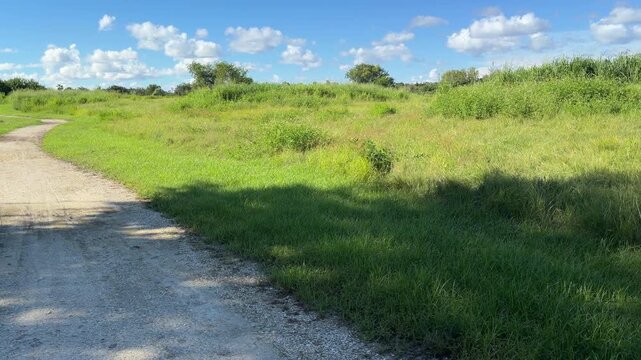 Sweeping summer view of repurposed cart path and onetime fairway along part of a municipal golf course converted to a municipal nature park in Sarasota, Florida. Motifs of rewilding, recreation.