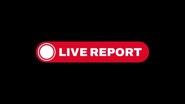 Animated live report button with flickering white recording icon on red banner isolated for breaking news and broadcast journalism on transparent background. 4K