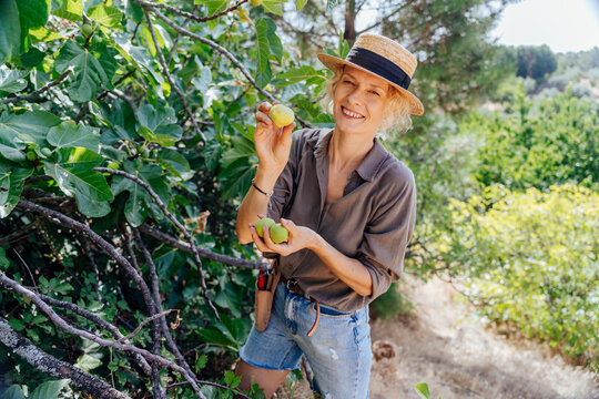 Cheerful mature female fig grower showing freshly picked fruit during summer orchard harvest