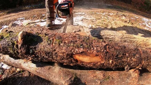 Extreme low viewpoint shows heavy cutting head engaging large log while dense clouds of wood chips, bark fragments, and fine sawdust burst outward, filling foreground with gritty debris in daylight
