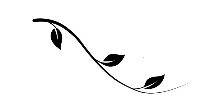 Black silhouette vector illustration of a curved vine branch with leaves, isolated on transparent background