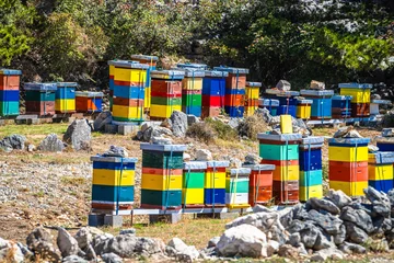 Honey farm bee boxes in nature of Krk island view © xbrchx
