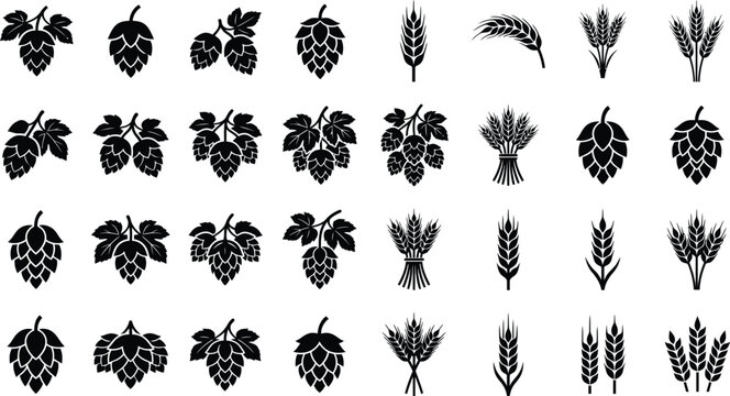 Vintage Botanical Collection of Hops Wheat and Grain Decorative Elements