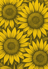 Obraz premium Vibrant sunflowers in artistic illustration.
