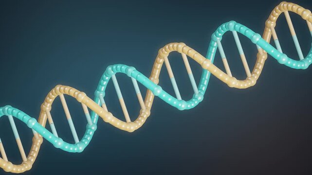 DNA Double Helix Rotating in 3D Scientific Animation