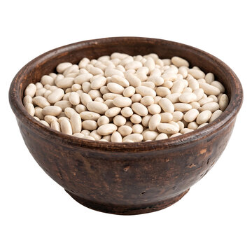 Raw White Navy Beans in Rustic Ceramic Bowl Isolated