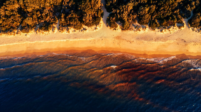 Aerial view of a tropical sandy beach illuminated by warm golden-hour sunlight, with gentle ocean waves creating beautiful patterns along the shoreline.